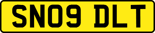 SN09DLT