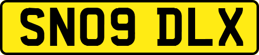 SN09DLX