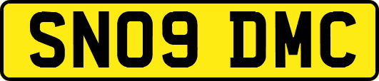 SN09DMC