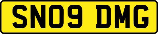 SN09DMG