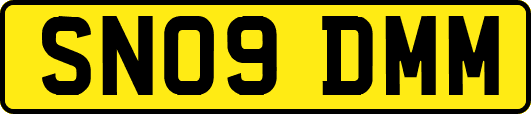 SN09DMM