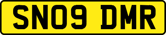 SN09DMR