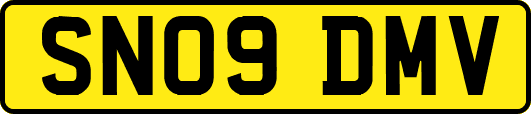 SN09DMV
