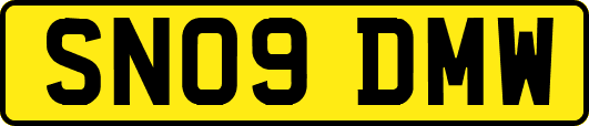 SN09DMW