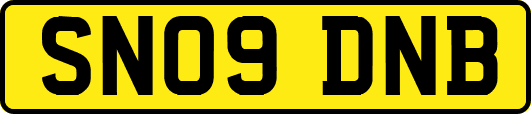 SN09DNB