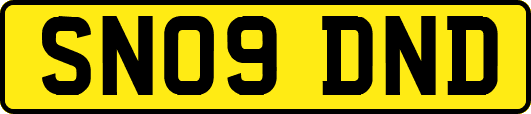 SN09DND
