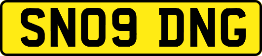 SN09DNG