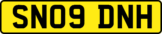 SN09DNH