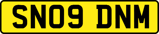 SN09DNM