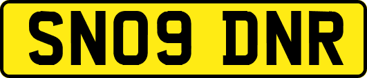 SN09DNR