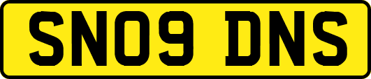 SN09DNS