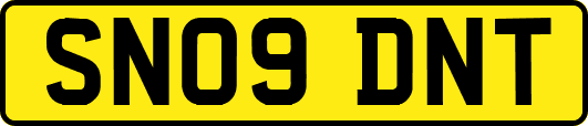 SN09DNT