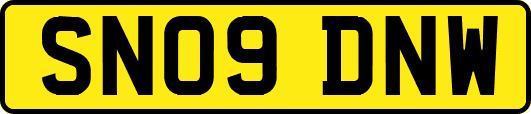 SN09DNW