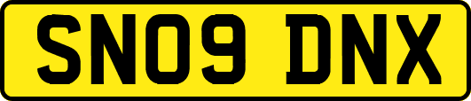 SN09DNX