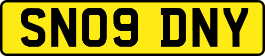 SN09DNY