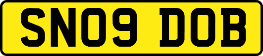 SN09DOB