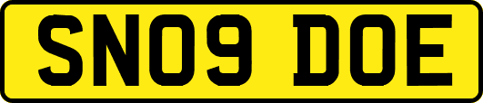 SN09DOE