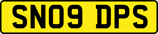 SN09DPS