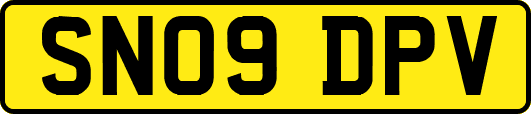 SN09DPV
