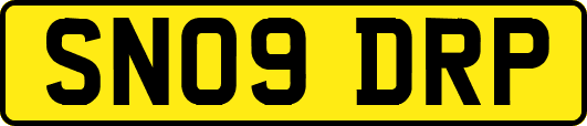 SN09DRP