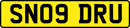 SN09DRU