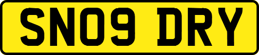 SN09DRY