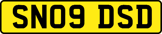 SN09DSD