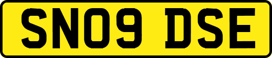 SN09DSE