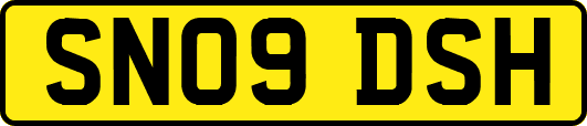 SN09DSH