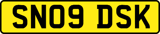 SN09DSK