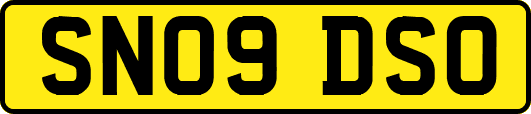 SN09DSO