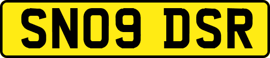 SN09DSR