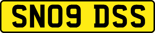 SN09DSS
