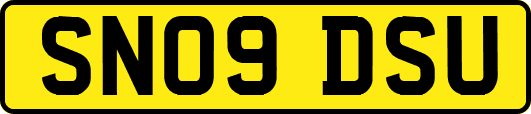 SN09DSU