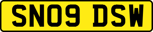 SN09DSW