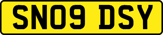 SN09DSY