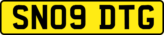 SN09DTG