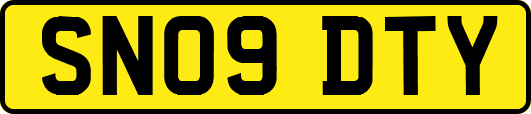 SN09DTY