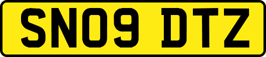 SN09DTZ
