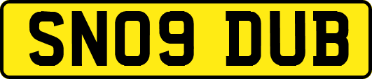 SN09DUB