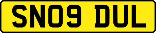 SN09DUL