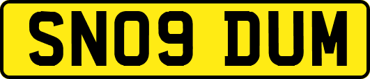 SN09DUM