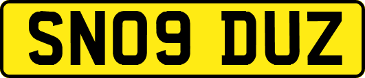 SN09DUZ