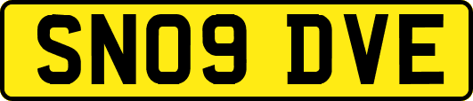 SN09DVE