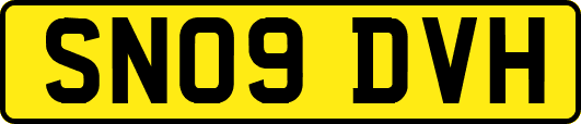 SN09DVH