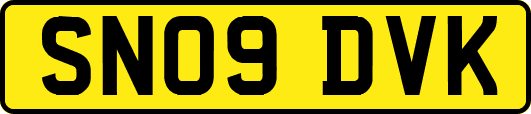 SN09DVK