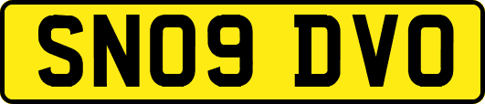 SN09DVO