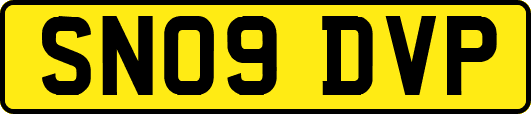 SN09DVP