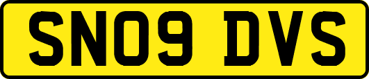 SN09DVS
