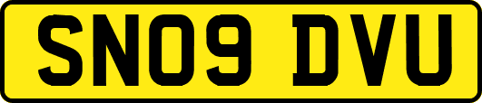 SN09DVU